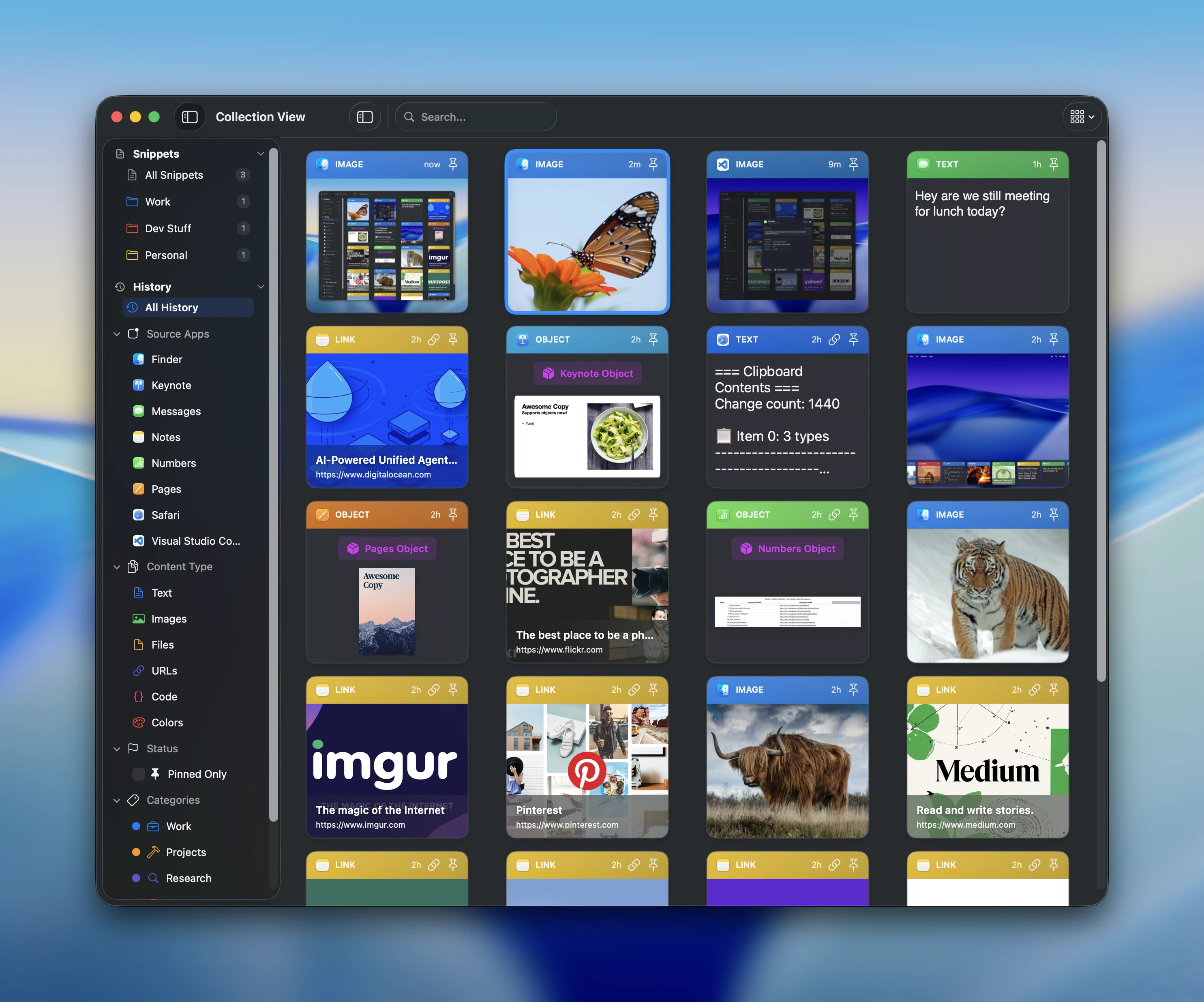 Collection View full-screen interface
